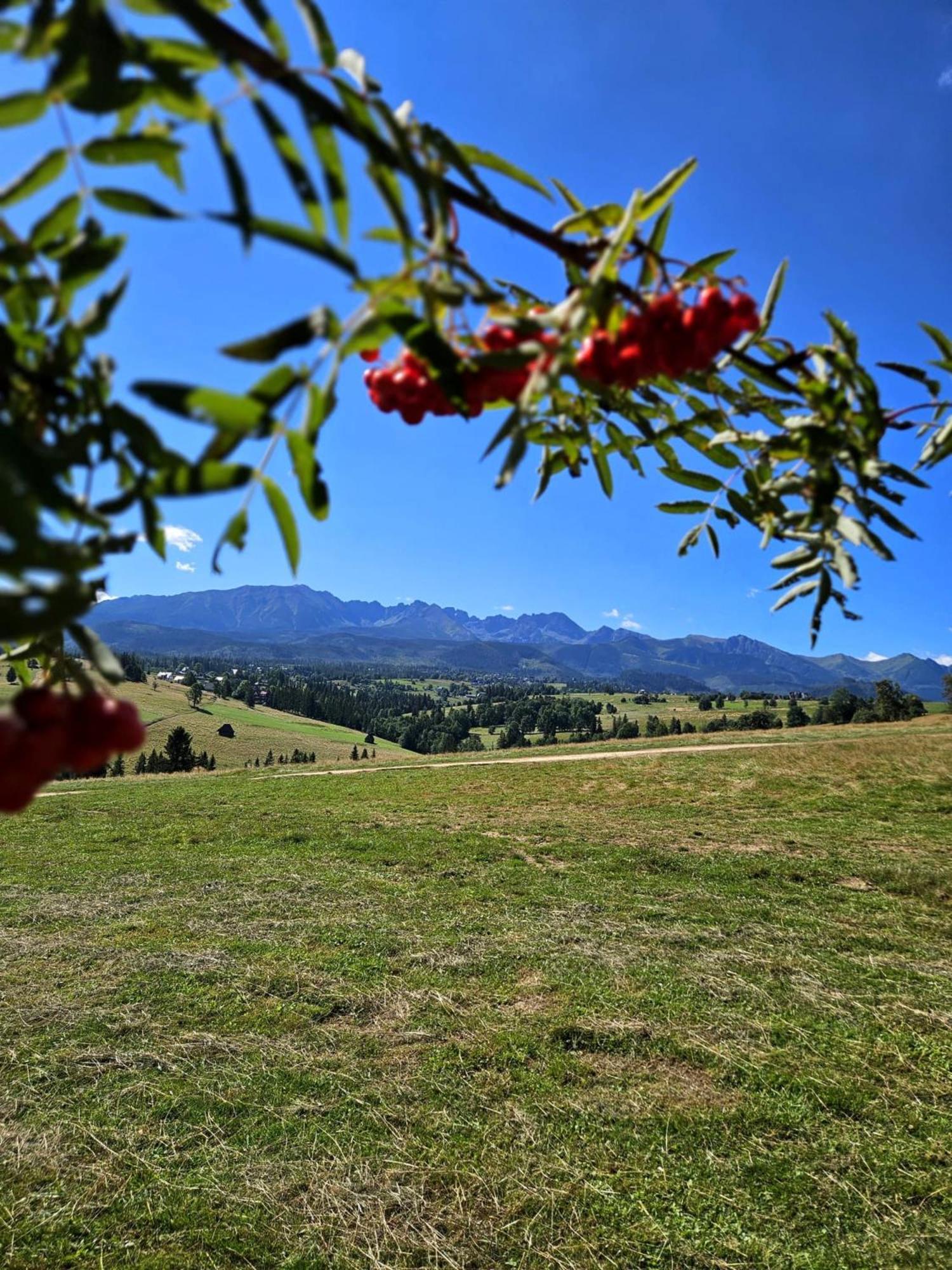 Goralska Chatka 2 Highland Cottage - Split Ac, Jacuzzi, Sauna, Private Parking, Mountains View, Garden, Zakopane Exterior foto